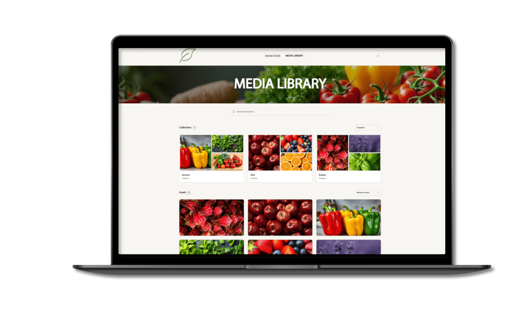 Screenshot des Digital Asset Management Systems iMi Brandbook